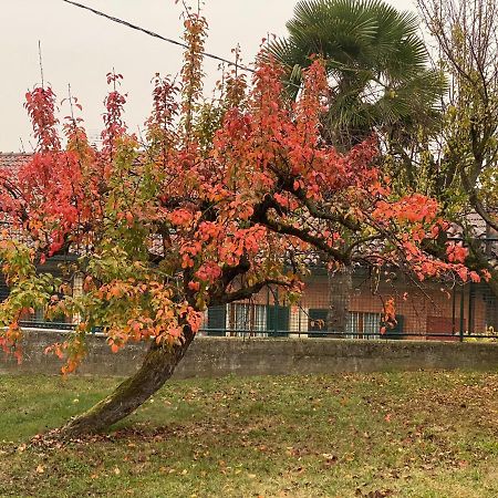 Al Vecchio Pero, Con Ampio Giardino Privato Villa ลามอร์รา ภายนอก รูปภาพ